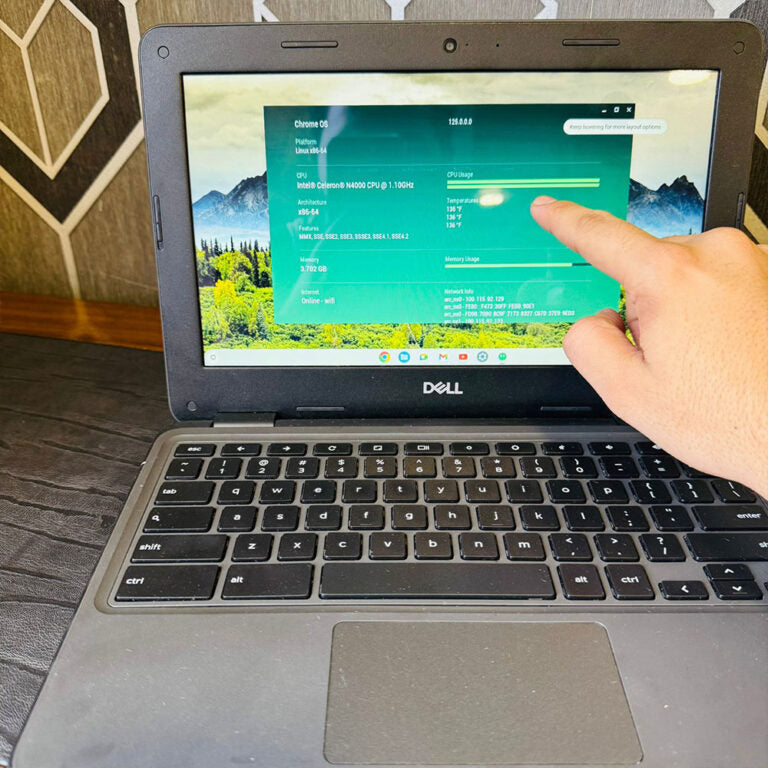 Dell  3100 Laptop (Standard / Touchscreen / 360 Flip)